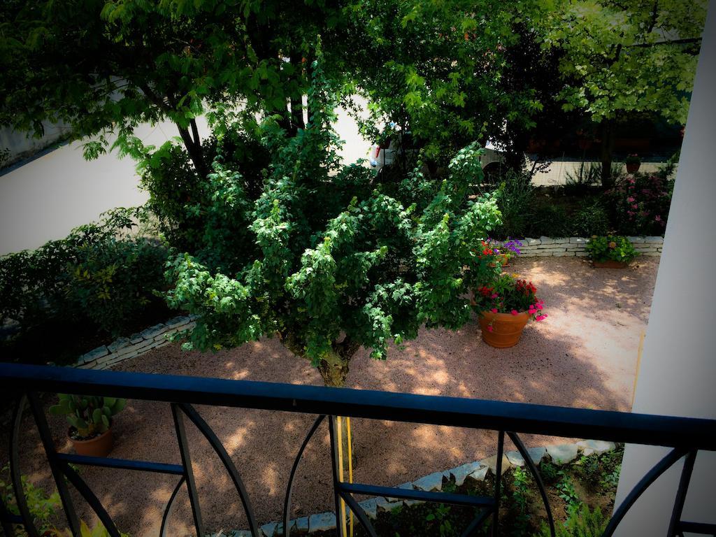 Bed & Breakfast Don Carlos San Martino di Lupari Luaran gambar