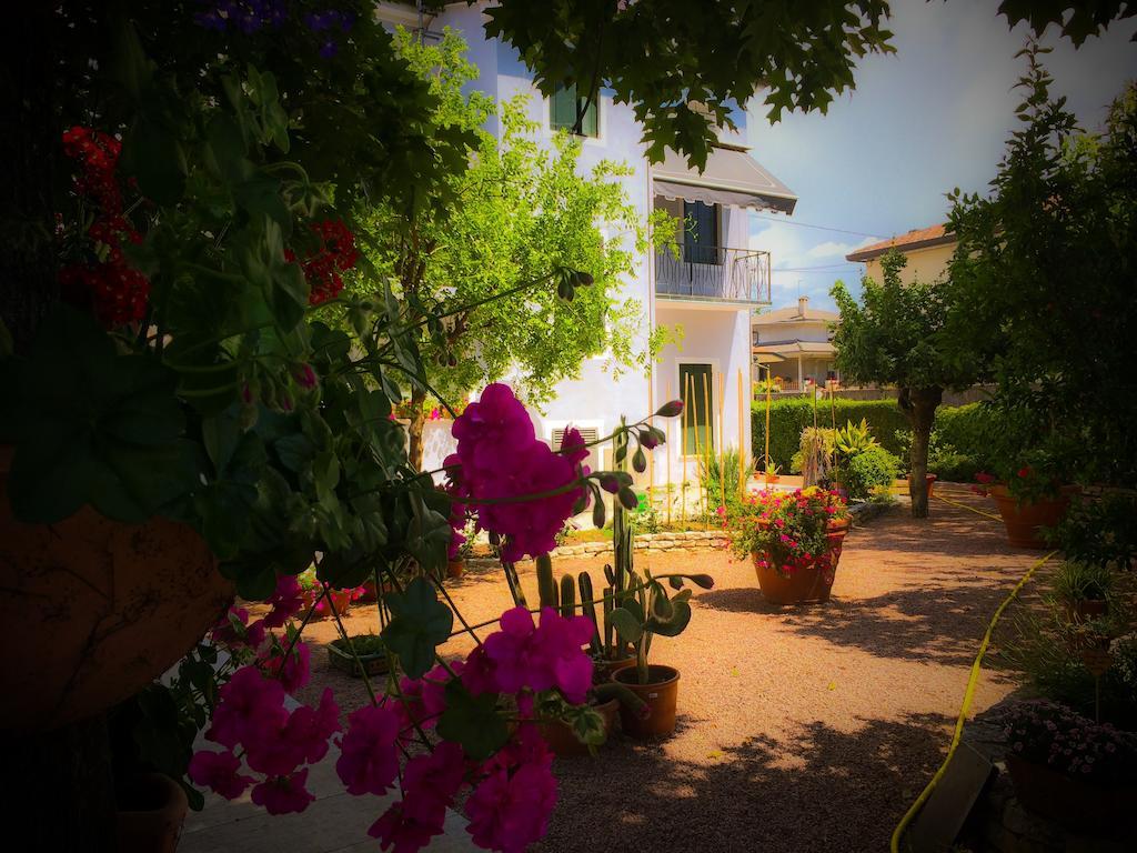 Bed & Breakfast Don Carlos San Martino di Lupari Luaran gambar