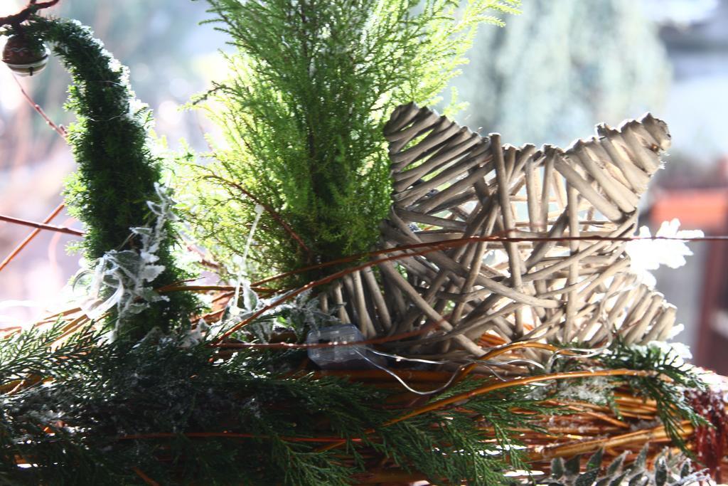 Bed & Breakfast Don Carlos San Martino di Lupari Luaran gambar