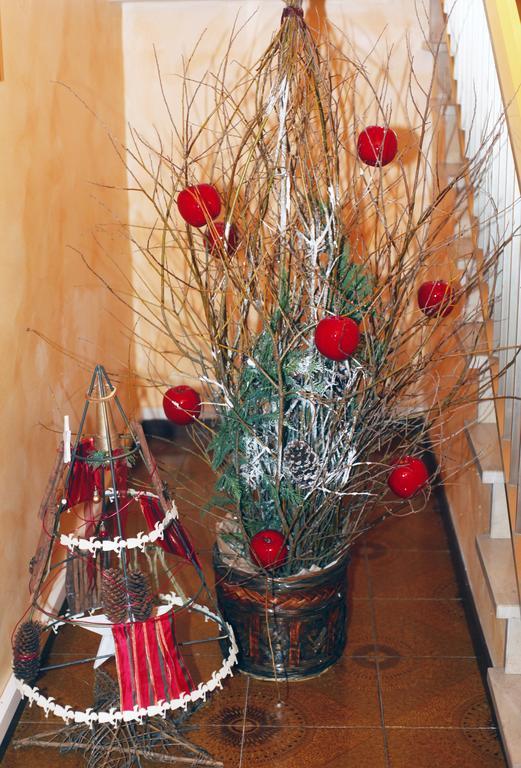 Bed & Breakfast Don Carlos San Martino di Lupari Luaran gambar