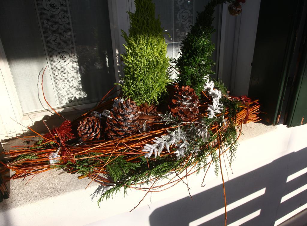 Bed & Breakfast Don Carlos San Martino di Lupari Luaran gambar